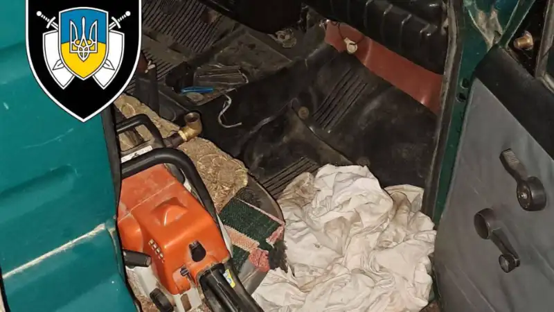 На Кіровоградщині затримали двох жителів Знам’янки під час спроби незаконної вирубки лісу