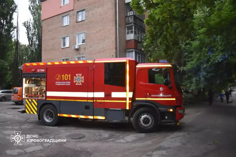 У Кропивницькому рятувальники ліквідували пожежу в підвалі та врятували трьох кошенят