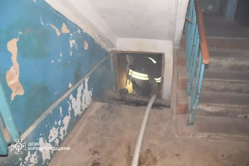 У Кропивницькому рятувальники ліквідували пожежу в підвалі та врятували трьох кошенят