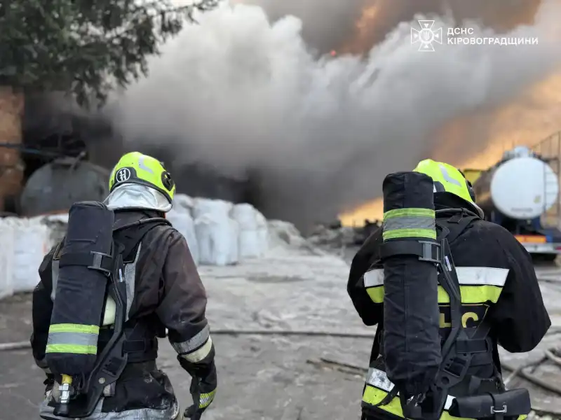 У Олександрії спалахнула пожежа на складі з насінням соняшника
