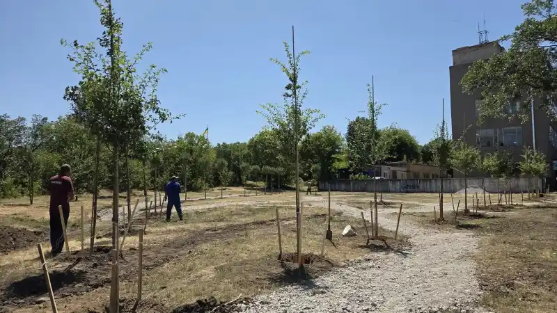 Оновлений сквер на Соборній: у Кропивницькому висадили майже три десятки дерев