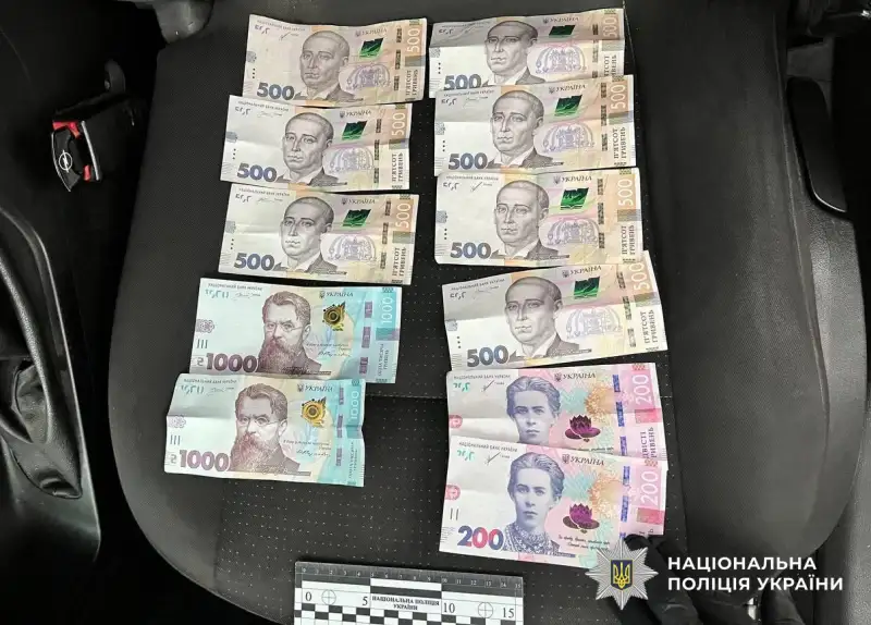 На Кіровоградщині викрили теплицю з коноплями: у зловмисника вилучили понад 120 рослин